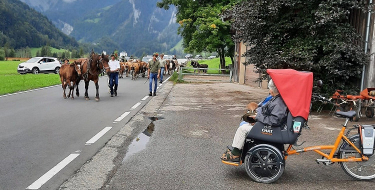 Artikelbild Radeln ohne Alter 